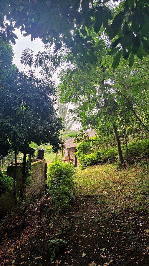 Lake Lyantonde Eco Campsite Original Fort Portal Экстерьер фото